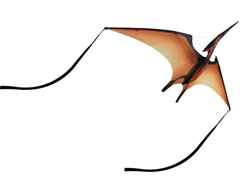 Brookite Dinosaur Drage - Pterodactyl