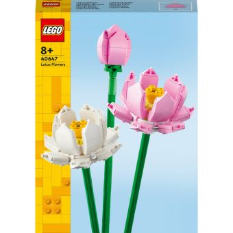 LEGO Iconic - Lotusblomster 40647