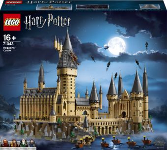 LEGO Harry Potter - Galtvortborgen 71043