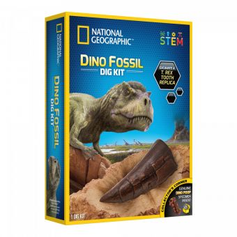 National Geographic - Dinosaurtann Utgravingssett