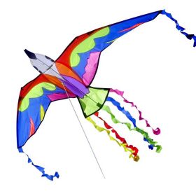 Brookite - Bermuda Bird Drage 140 cm