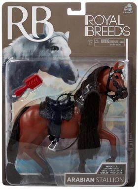 Royal Breeds Hester - Arabian Stallion