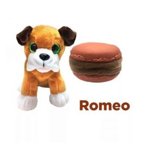 Sweet Pups- Romeo