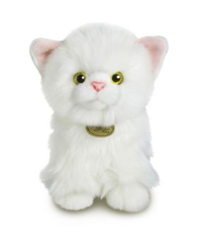 Aurora Plysj - Persisk hvit katt 